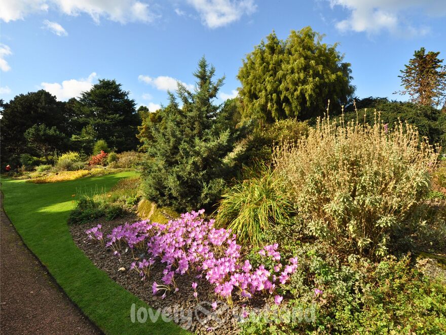 Flowers trees and lush planting in the Royal Botanic Garden Edinburgh